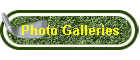 Photo Galleries